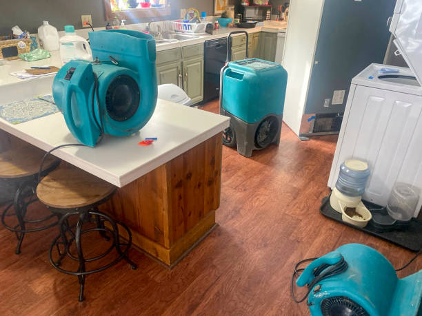 Best Mold removal after water damage  in Fishhook, AK